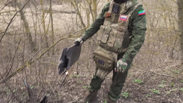 Небо курского приграничья защищают мобильно-огневые группы