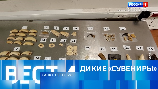 Эфир от 07.04.2026 (09:30)