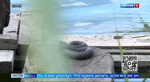 Эфир от 07.04.2026 (11:30)