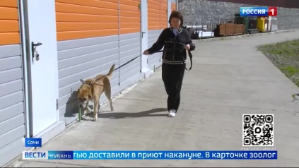 Эфир от 24.03.2026 (21:10)