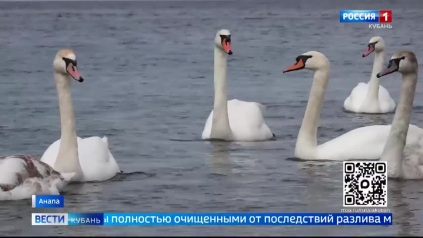 Эфир от 23.03.2026 (21:10)