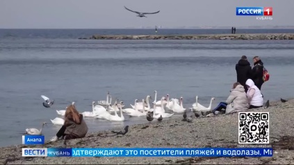 "Реанимация" пляжей Анапы продолжается