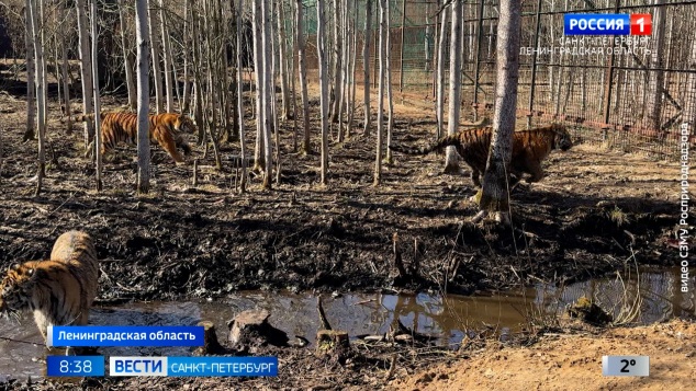 Эфир от 08.04.2026 (08:35)