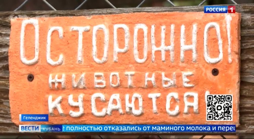 Эфир от 08.04.2026 (11:30)