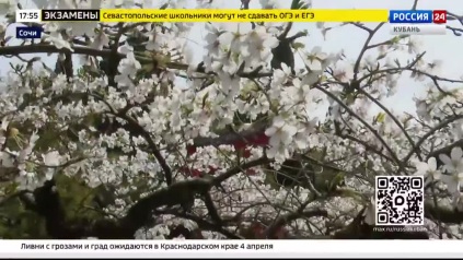 Эфир от 03.04.2026 (17:30)