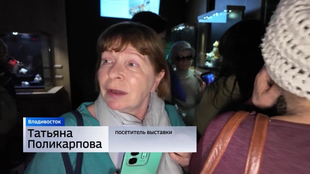Как обнимаются кошки и собаки, можно увидеть на выставке во Владивостоке
