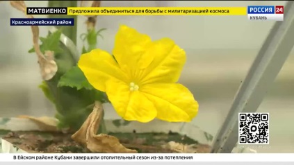 Эфир от 01.04.2026 (21.00)