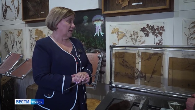 Погладить зайца и лису куряне могут в Курском областном краеведческом музее