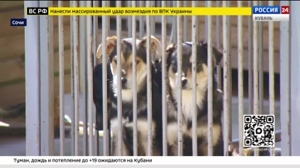 Эфир от 24.03.2026 (17:30)