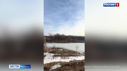 «Моржи» взяли под опеку и экологический контроль акватории Тамбова