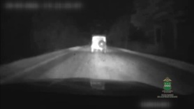 Пьяный водитель без прав устроил погоню в Шимановском округе