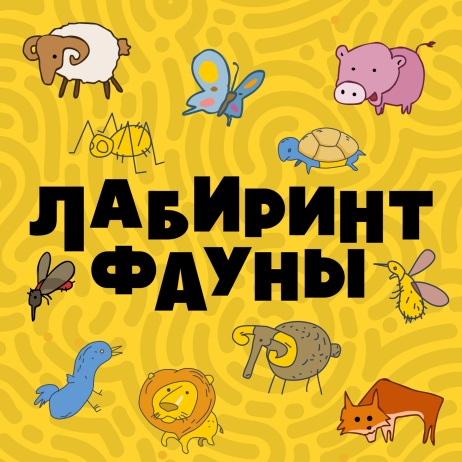Собака или енот: как живут тануки