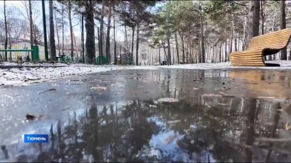 Эфир от 10.04.26 (11:30)