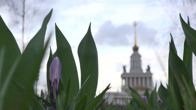 Эфир 11.04.2026 · 08:15