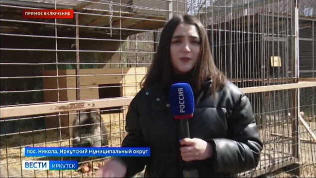 Прямое включение: в Сибирском зоопарке выхаживают медвежонка, которого нашли на трассе
