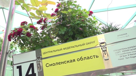 Куличи, хороводы и "Домики добра": в Москве проходит фестиваль "Пасхальный дар"