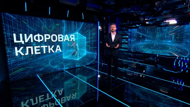 Американские учёные создали первую в мире компьютерную копию мозга мухи