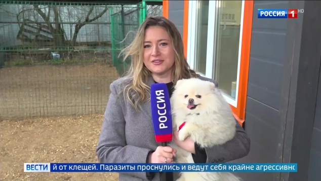 Эфир 15.04.2026