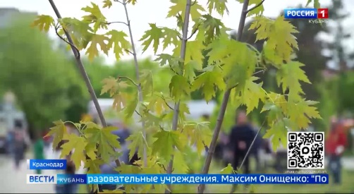 Эфир от 15.04.2026 (11:30)