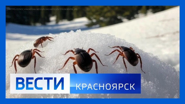 Эфир от 16.04.2026