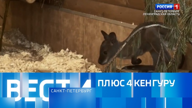 Эфир от 17.04.2026 (09:30)