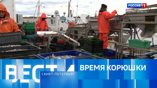 Эфир от 17.04.2026 (11:30)