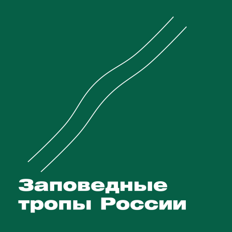 Особо охраняемые территории Мурманской области: от Териберки до неизвестных сокровищ природы