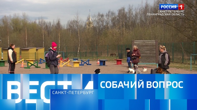 Эфир от 19.04.2026 (14:30)
