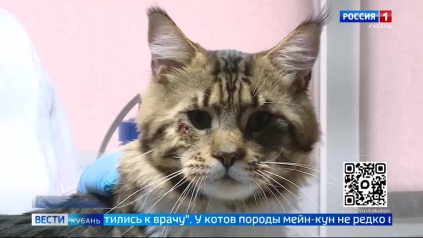 Эфир от 13.04.2026 (21:10)