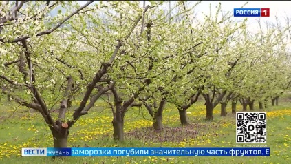 Эфир от 14.04.2026 (21:10)