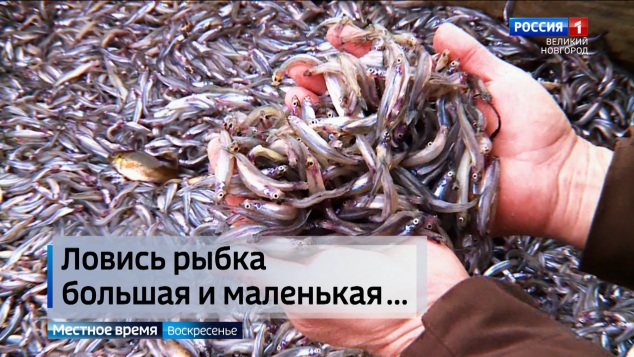 Эфир от 19.04.2026