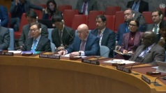 Выступление Небензи на заседании Совбеза ООН по Украине