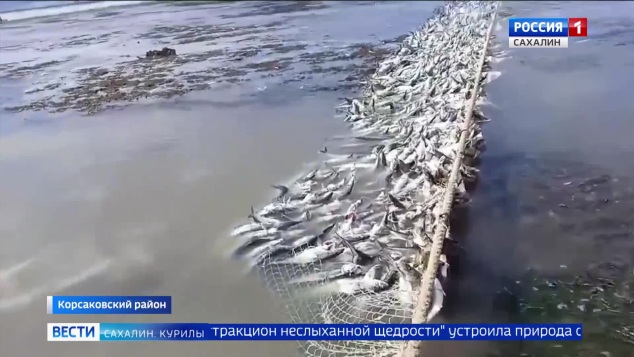 Эфир от 20.04.26 - 21 10