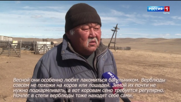 «Агын тала. Ажабайдал. ХYн»