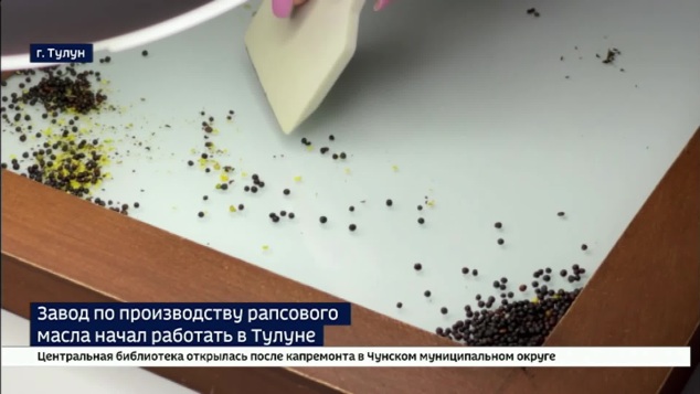 В Тулуне запустили завод по производству рапсового масла