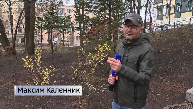 50 лет назад впервые в Россию через Приморье завезли "чудодейственный" бальзам "Звездочка"