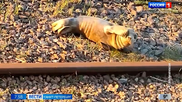 Эфир от 22.04.2026 (07:35)