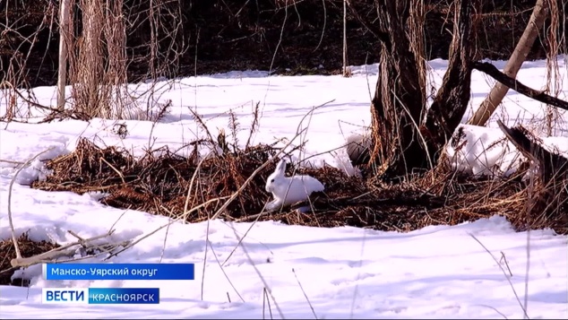 Эфир от 21.04.2026