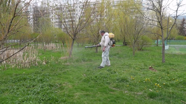 В Белгороде началась масштабная обработка общественных пространств от клещей