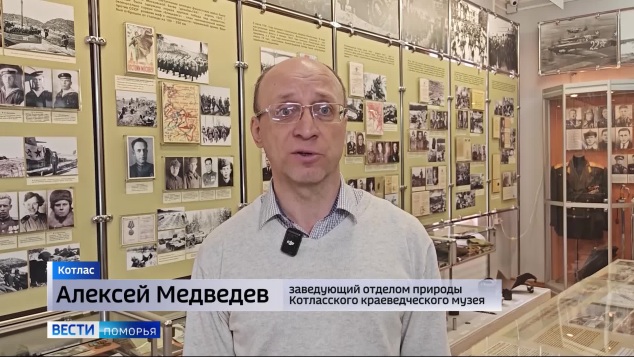 Вести Поморья в 9:30, эфир 23 апреля 2026 г.