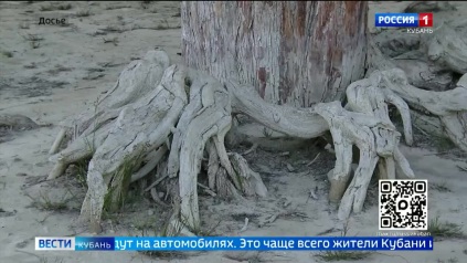Эфир от 23.04.2026 (21:10)
