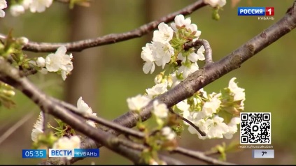 Эфир от 24.04.2026 (05:35)