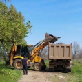 Заработать тысячу и помочь экологам