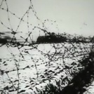 "Людей учили жить заново": освобождение лагерей