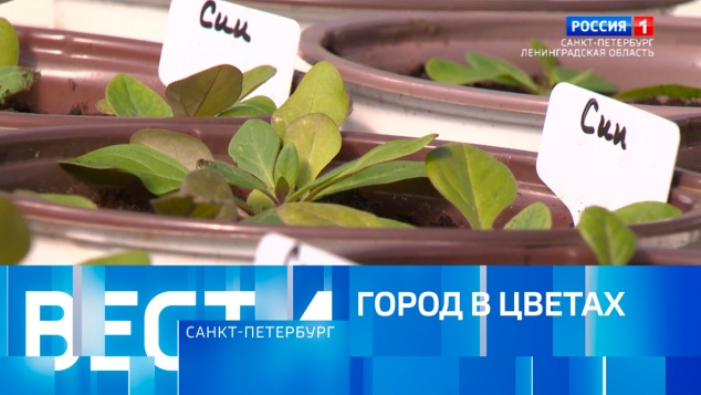 Эфир от 24.04.2026 (21:10)