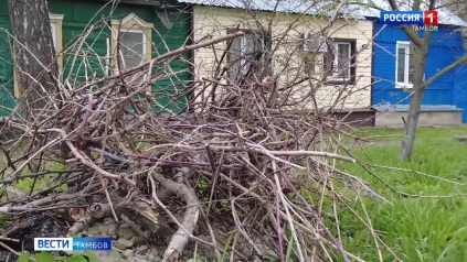 Мухи и котлеты отдельно. Жильцам частного сектора объясняют правила складирования мусора