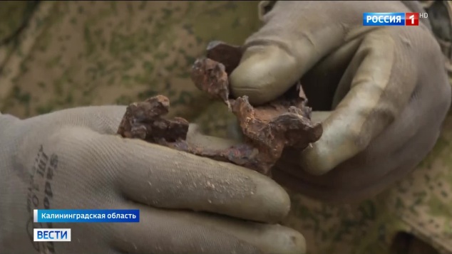 Поисковики Калининграда вернули орден Красного Знамени сыну майора Костина