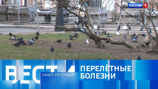 Эфир от 26.04.2026 (08:00)