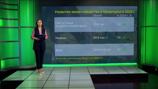С начала года более тысячи амурских семей улучшили жилищные условия с помощью льготной ипотеки