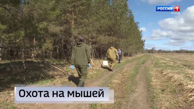 Эфир от 27.04.2026 (11:30)